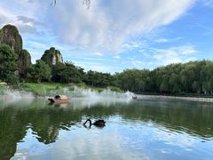 -北京野生动物园