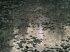 -莲池书院博物馆