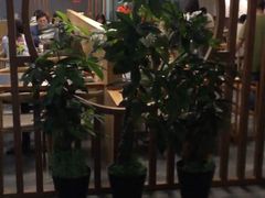 -大自然醉鹅·铁锅火焰鹅(上海联洋店)