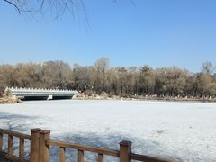 -长春市南湖公园