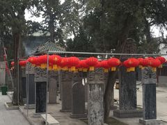 -关林