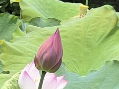 -丝绸小镇荻港古村
