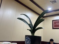 -生宇山珍野生菌汤锅•始于2002(双流古塔店)