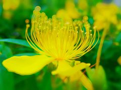 -证大大拇指广场(芳甸路店)