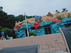 -重庆海昌加勒比海水世界