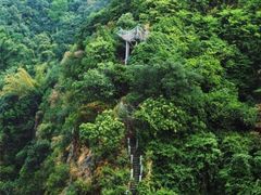 -大雁山风景区