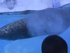 -多彩贵州城极地海洋世界