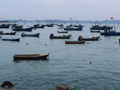 -悦海公园