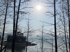 -四明湖