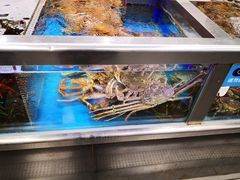 -盒马鲜生(大成店)