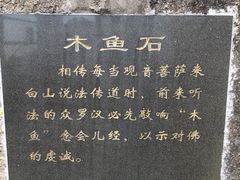 -印象普陀