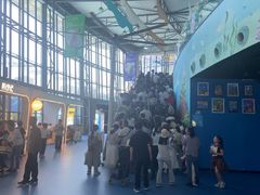 -海合安成都极地海洋公园