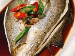 葱椒鲈鱼-绿茶餐厅(西单老佛爷店)