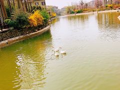 -芭东小镇温泉
