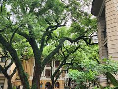 -星巴克臻选(广州沙面店)