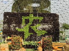 -盈香心动乐园