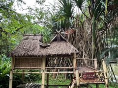 -中国科学院西双版纳热带植物园