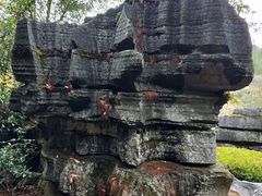-梭布垭石林景区