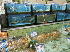 -南海食街(佛冈店)
