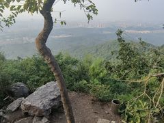 -紫金山山顶公园