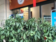 -中青旅遨游旅行旗舰店