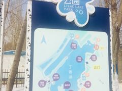 -丁香湖公园