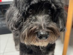 -YCHL Studios健身工作室(市二宫店)