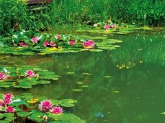 -黄海国家森林公园