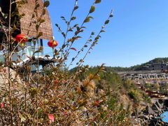 -天芳悦潭度假村温泉