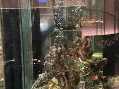 -官也街澳门火锅(新源里店)