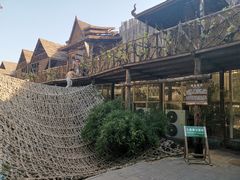 -北京呀路古热带植物园