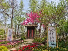 -圩墩遗址公园