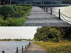 -上海月湖雕塑公园