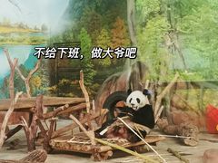 -南宁市动物园