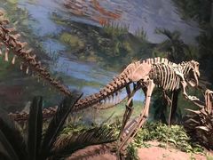 -自贡恐龙博物馆