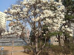 -北京中医药大学东方医院(方庄院区)