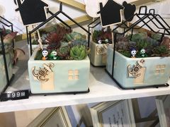 -花未央花店·WEYOUNG
