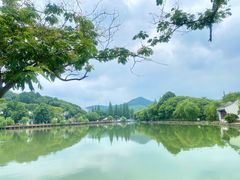-慈城古县城景区