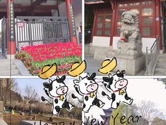 -堤角公园