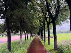 -汉长安城未央宫国家考古遗址公园