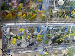 -三旗百汇商品城