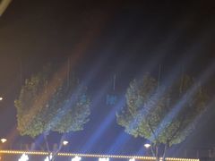 -武昌江滩