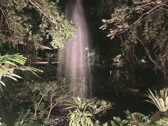 -绿光森林餐厅