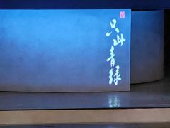 -合肥大剧院