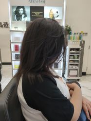 -YESIDO椰岛造型