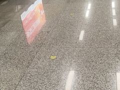 -银湖(地铁站)