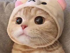 -小菜园新徽菜(芜湖镜湖苏宁店)