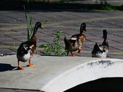 -太阳宫公园