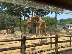 -大连森林动物园