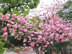 -昆明动物园